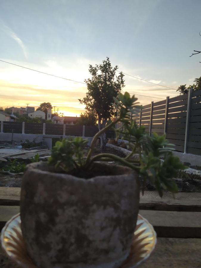 Nikos' Home Gasztúri Kültér fotó